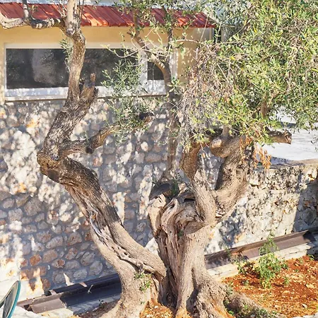 Fuer Drei Personen Mit Terrasse Apartment Razanj